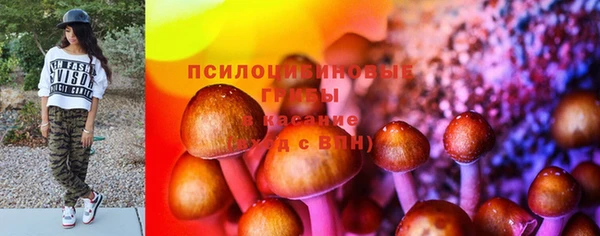 стафф Алзамай